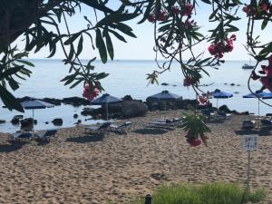a beach with umbrellas and chairs and the ocean at Elpida Beach Studios in Faliraki