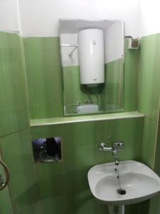 a green bathroom with a sink and a mirror at Forester in Jošanička Banja