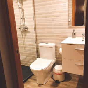 a bathroom with a toilet and a shower at La casina del Indiano in Malleza