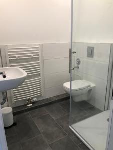 ein Bad mit einem WC und einem Waschbecken in der Unterkunft Apartmenthaus Hamburg Eppendorfer Weg in Hamburg