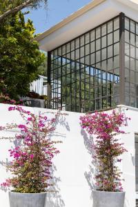 Gallery image of Racconto Boutique Design Hotel (Adults Only) in Parga