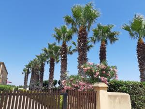 Vonkajšia záhrada v ubytovaní Baglio Cudia Resort