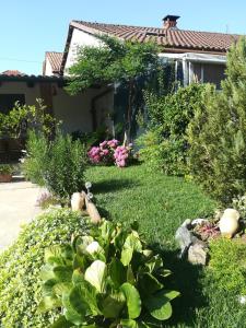 a garden with plants and flowers in front of a house at Il Cortile Della Nonna in Chieri