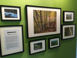 Foto sihtkohas Ljungbyhed asuva majutusasutuse Pensionat Söderåsen galeriist