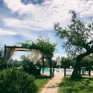 a garden wedding with a pool in the background at Agriturismo La Rustica in Cerratina