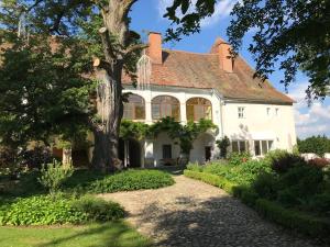 Zahrada ubytování Schloss Welsdorf