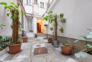a courtyard with a bunch of potted plants at Sophisticated brand new flat in Madrid