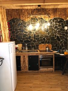 a kitchen with a stone wall with a sink and a refrigerator at Casa Anina in Anina