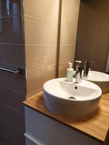 a bathroom with a white sink and a mirror at Apartments Ziher in Zagreb