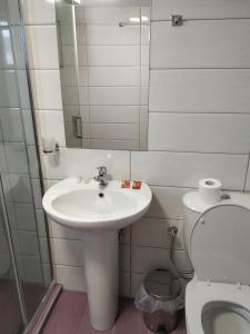 Vannituba majutusasutuses Mavroforos Hotel