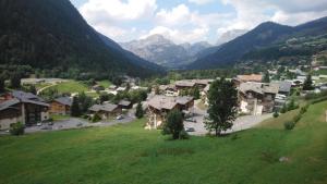 Afbeelding uit fotogalerij van Les gentianes in Châtel