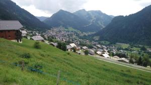 Afbeelding uit fotogalerij van Les gentianes in Châtel