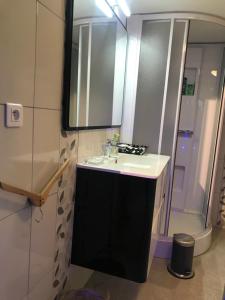 La salle de bains est pourvue d'un lavabo et d'une douche. dans l'établissement Domaine BORCHAMPS., à Saint-Nizier-sous-Charlieu