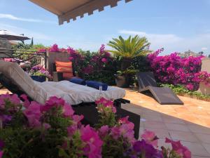 un patio con flores rosas y un sofá en un patio en Grimaldines - Villa, en Cagnes-sur-Mer