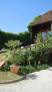 a house with trees and plants in front of it at Stadl Suite in Sankt Margarethen im Lavanttal