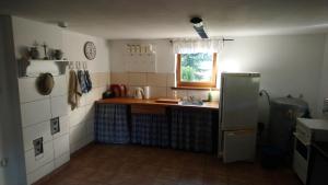eine Küche mit einer Theke, einer Spüle und einem Kühlschrank in der Unterkunft Widok Tresna in Tresna