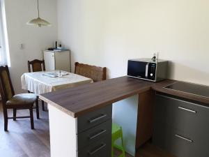 a kitchen with a counter with a microwave and a table at Apartmán 33 in Teplice nad Metují