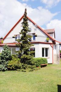 a house with a large pine tree in front of it at Pokoje Łebska 24 in Łeba