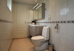 艾菲約德的住宿－Fjordperlen，一间带卫生间、水槽和镜子的浴室