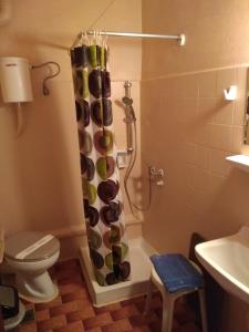 a bathroom with a shower with a toilet and a sink at Bissias Guest House in Galatas