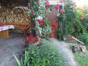 En hage utenfor KUĆA ZA ODMOR "DVA SRCA"