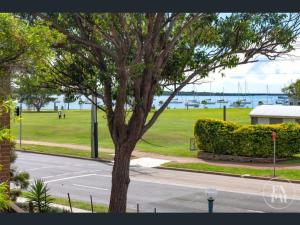 a tree on the side of a street near a park at Play@PortMacq in Port Macquarie