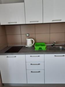 Kuchyň nebo kuchyňský kout v ubytování Apartmani Frano
