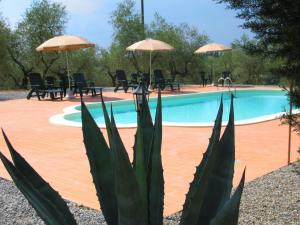 a swimming pool with chairs and umbrellas next to it at Agriturismo Martignana Alta in Empoli