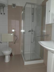 a bathroom with a shower and a toilet and a sink at Clara 3 in Poreč