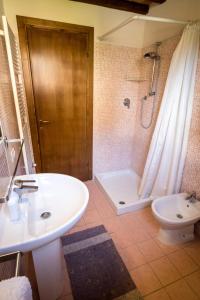 een badkamer met een wastafel, een douche en een toilet bij Agriturismo Il Canterino in Guardistallo
