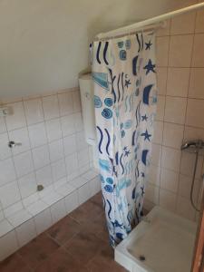 a blue and white shower curtain in a bathroom at Prenoćište Vitas in Miljevina
