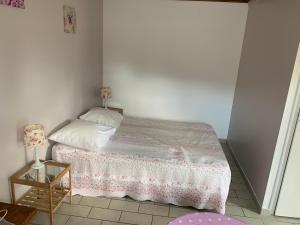 um pequeno quarto com uma cama com uma colcha rosa em Auberge du Mont Tortue em Champclause