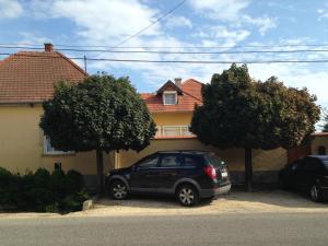 Viola Vendégház 8500 Pápa, Somlai út 64. kép - 2