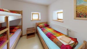 een slaapkamer met 2 stapelbedden in een kamer bij Apartmaji pri Marodnu in Bohinj