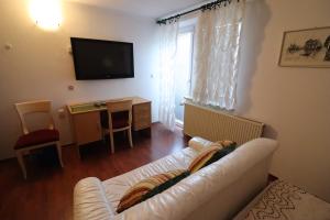 TV a/nebo společenská místnost v ubytování Pod Orehi Guest House