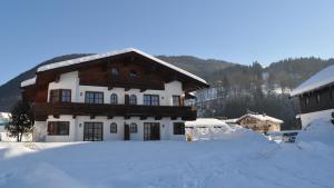 Auerschmied Appartements v zime