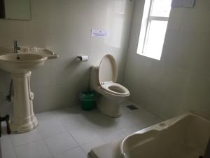 Ένα μπάνιο στο Hotel Yambu kathmandu