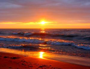 Gallery image of Oakwood Resort in Grand Bend
