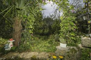 a garden with plants and flowers on a rock at Rasopasno 2 in Malinska +2 photos