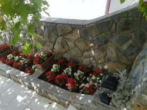Vonkajšia záhrada v ubytovaní Apartmani Ivić Paka Rab