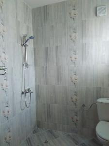 a bathroom with a shower and a toilet in it at Fenix Rooms in Arbanasi