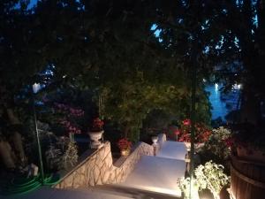 Vonkajšia záhrada v ubytovaní Apartmani Ivić Paka Rab