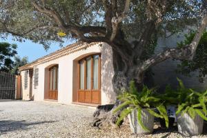 une maison avec un arbre devant un bâtiment dans l'établissement Suite in Masseria, à Plemmirio