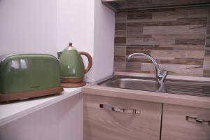 a kitchen with a sink and a green appliance on a counter at Vatican Mirò Holidays in Rome