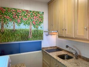 a kitchen with a sink and a painting on the wall at Apartaments Bastion in Torremolinos