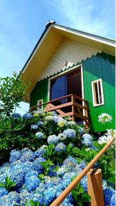 a green house with blue flowers in front of it at Cabanas Brisa dos Canyons in Cambará