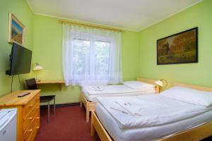 a room with two beds and a tv and a window at Hotel Max in Prague