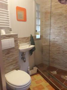uma casa de banho com um WC, um lavatório e um chuveiro em Apartman Na Horách em Příbram