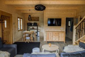 a living room with a couch and a tv in a cabin at Polanka in Witów