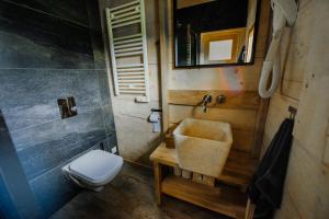 ein kleines Badezimmer mit Toilette und Waschbecken in der Unterkunft DOMEK POLANKA z sauną i widokiem na Tatry in Witów + 9 Fotos